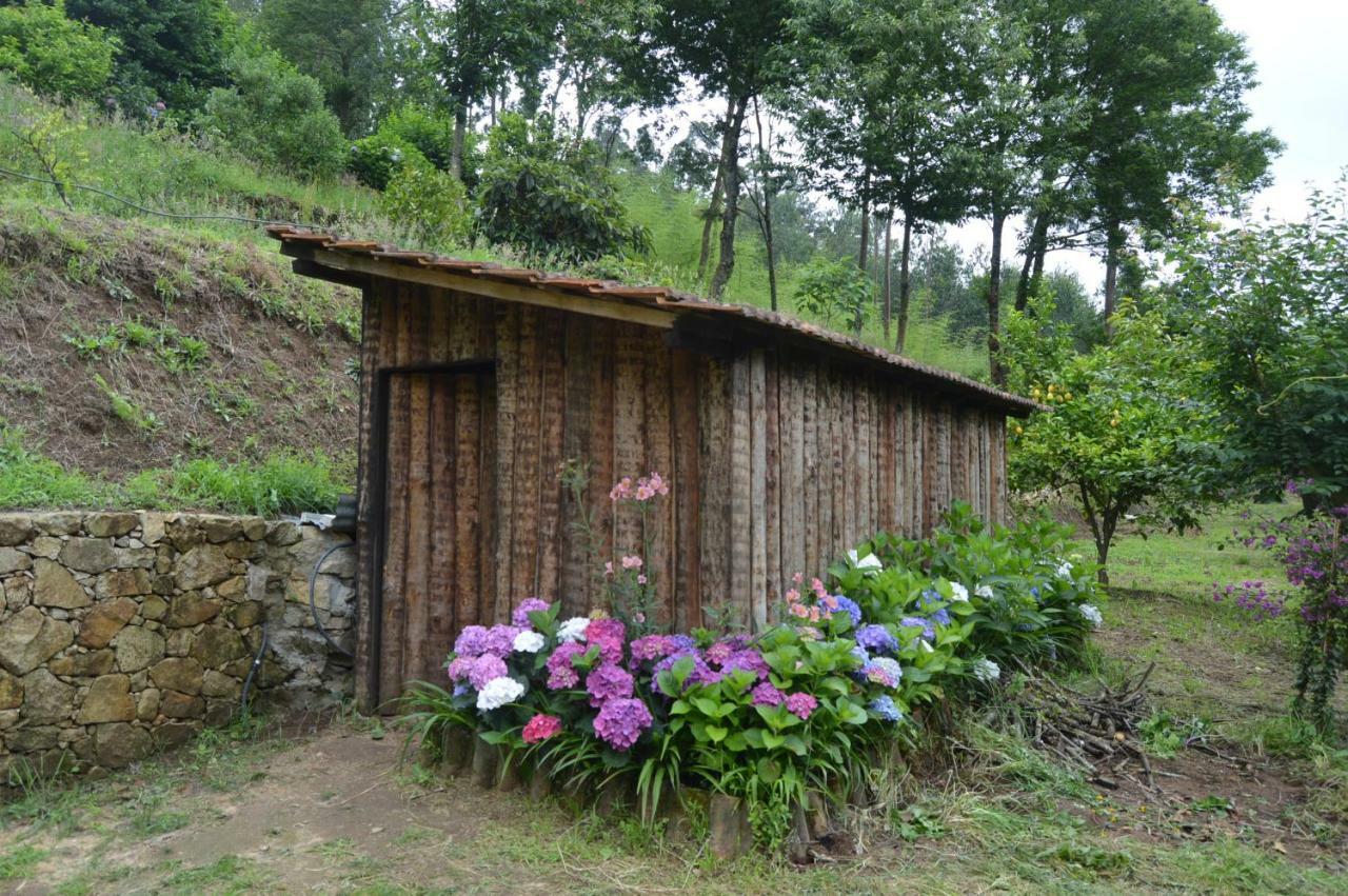 Casa Do Ribeiro Villa Sever do Vouga Esterno foto